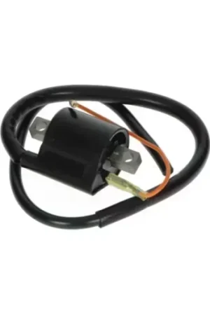 Voordeelprijs Bobine DMP Hanway/Mash aerox, bw, neo, tzr